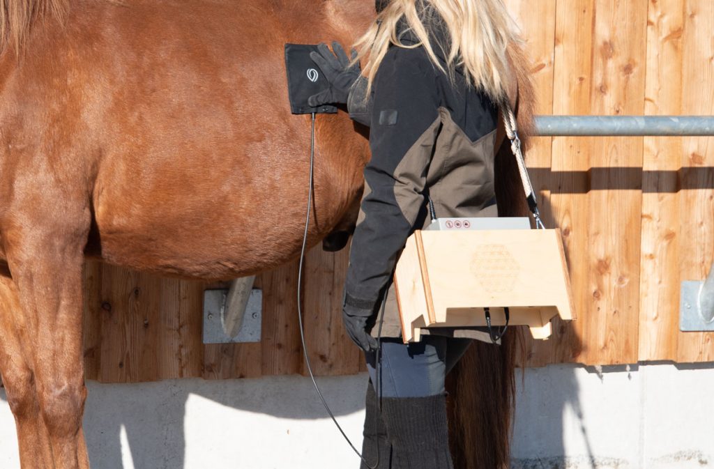 Anwendung der T-woodibox mit Tesla-Oszillator im Stehen, seitliche Ansicht